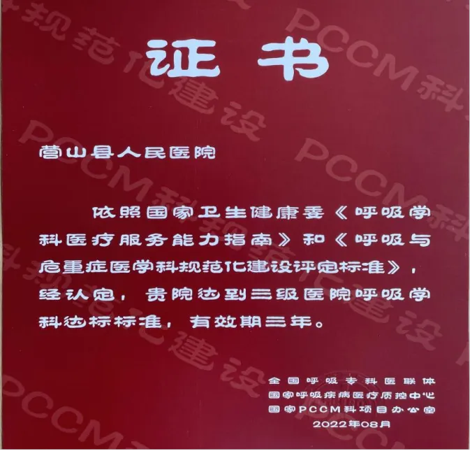 图片12